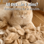 PET STEAM MIST BRUSH FOR DOGS AND CATS