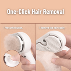PET MIST GROOMING BRUSH One-Click Hair Removal
