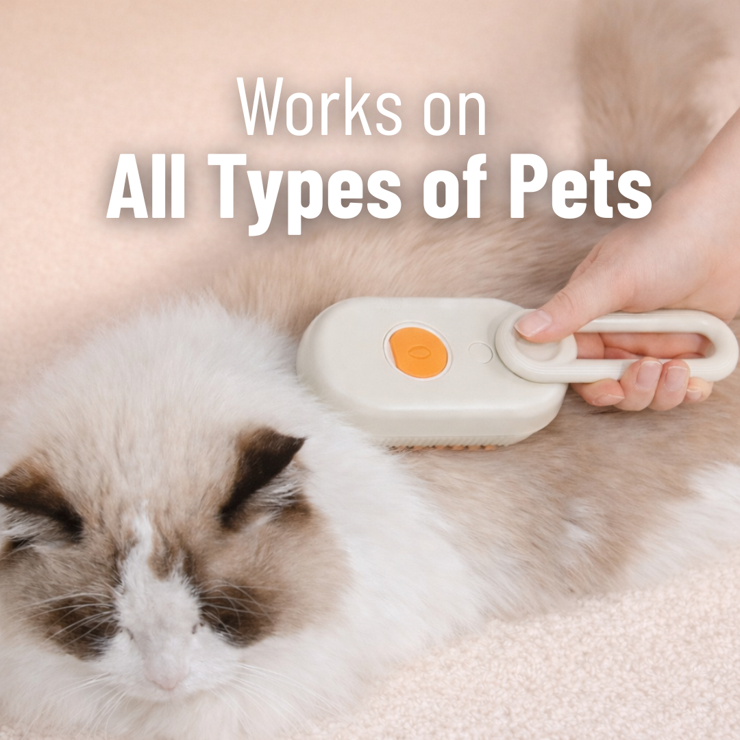 PET STEAM MIST BRUSH Foldable Massage Brush