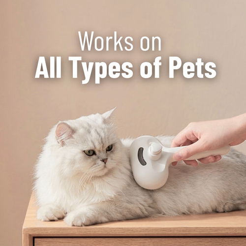 PET MIST GROOMING BRUSH One-Click Hair Removal